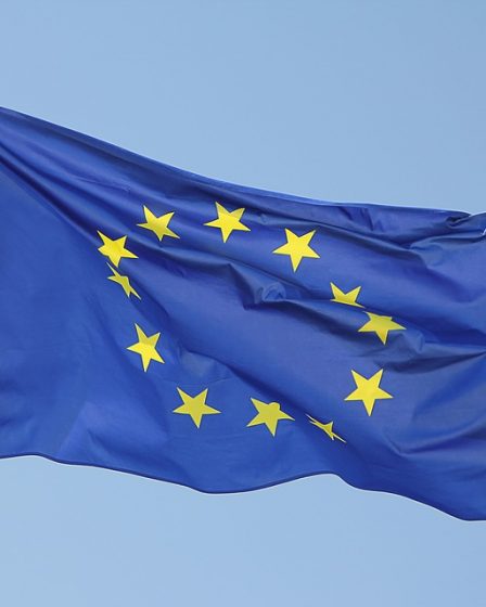 Désormais, la majorité des Britanniques voteraient pour rester dans l'UE 15 Désormais, la majorité des Britanniques voteraient pour rester dans l'UE - 14