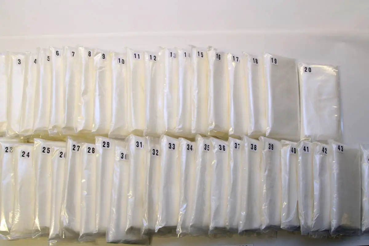 Vestfold : un Polonais déguisé en employé de BioNTech reconnu coupable de contrebande de 40 kg d'amphétamine 4 Vestfold : un Polonais déguisé en employé de BioNTech reconnu coupable de contrebande de 40 kg d'amphétamine - 3
