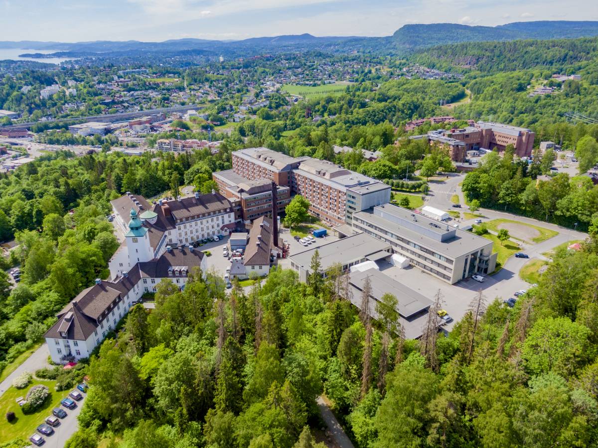 Aucun patient corona hospitalisé à Vestre Viken pour la première fois depuis octobre 4 Aucun patient corona hospitalisé à Vestre Viken pour la première fois depuis octobre - 3