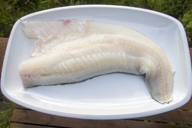 FHI : Manger du poisson maigre réduit le risque de diabète de près de 30 % - 21