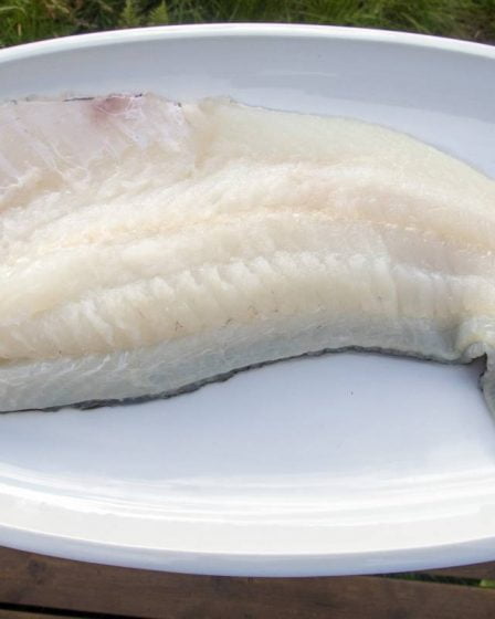 FHI : Manger du poisson maigre réduit le risque de diabète de près de 30 % - 21