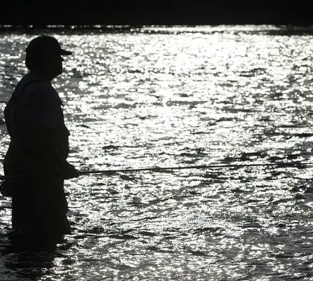 Faible saison du saumon dans les rivières norvégiennes 11 Faible saison du saumon dans les rivières norvégiennes - 10