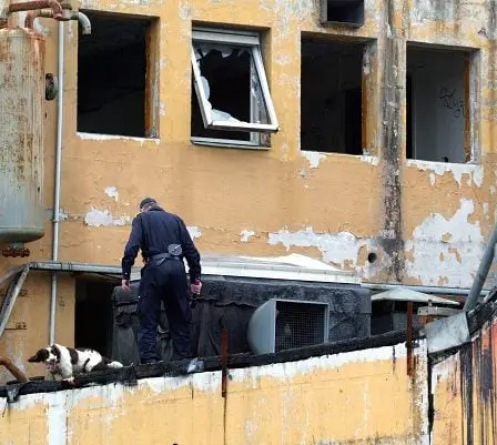 Fini les chiens bombes sur les chantiers - 14