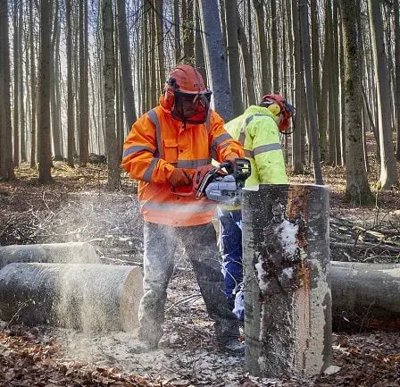 Plus de travailleurs immigrés sont venus en Norvège l'année dernière 5 Plus de travailleurs immigrés sont venus en Norvège l'année dernière - 4