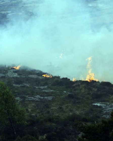 Avertissements de danger d'incendie de forêt émis pour l'ouest de la Norvège - 13