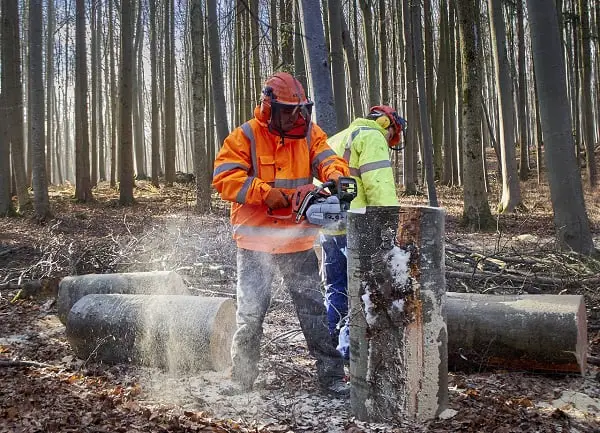 Plus de travailleurs immigrés sont venus en Norvège l'année dernière 4 Plus de travailleurs immigrés sont venus en Norvège l'année dernière - 3