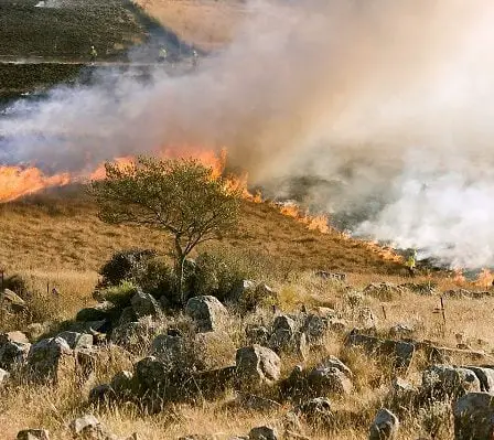 Plusieurs feux d'herbe à Oslo que la police soupçonne d'incendie criminel 2 Plusieurs feux d'herbe à Oslo que la police soupçonne d'incendie criminel - 1