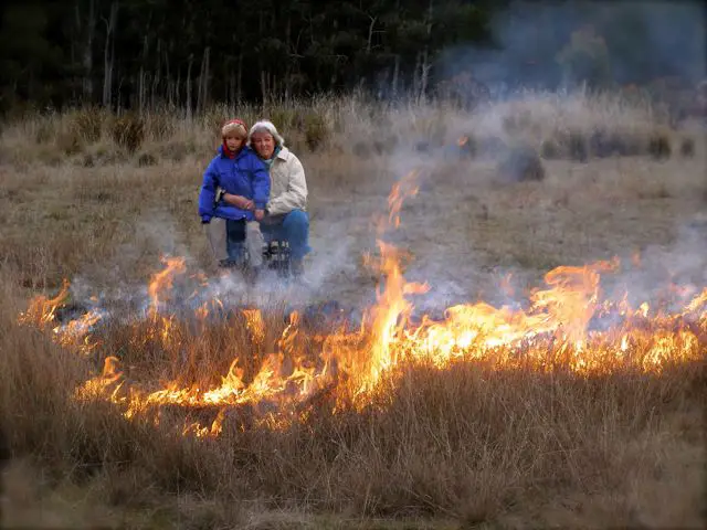 Feux d'herbe à travers la Norvège : "C'est comme de l'allumage" - Norway Today 4 Feux d'herbe à travers la Norvège : "C'est comme de l'allumage" - Norway Today - 3