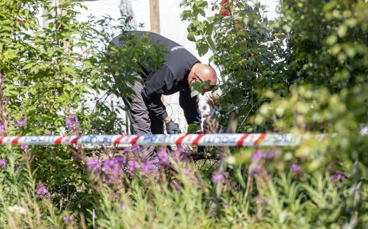 Mise à jour : un homme de 33 ans accusé d'avoir tué Christian Halvorsen à Askim - 3