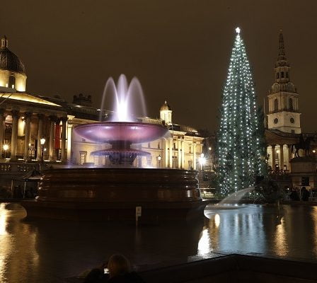 L'arbre de Noël norvégien est allumé à Londres 14 L'arbre de Noël norvégien est allumé à Londres - 13