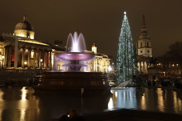L'arbre de Noël norvégien est allumé à Londres 4 L'arbre de Noël norvégien est allumé à Londres - 3
