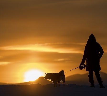 Le soleil revient à Tromsø - la saison sombre est maintenant terminée 32 Le soleil revient à Tromsø - la saison sombre est maintenant terminée - 31