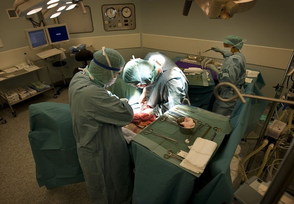 Les dons d'organes les plus bas en dix ans 8 Les dons d'organes les plus bas en dix ans - 7