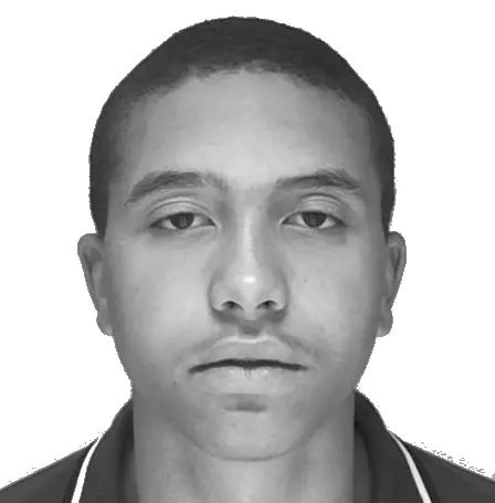 Demandera l'extradition rapide de Lindén 17 Demandera l'extradition rapide de Lindén - 16