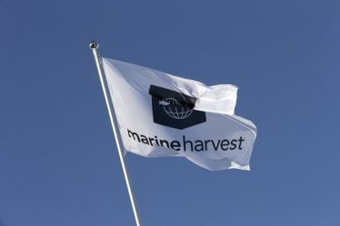 Marine Harvest change de nom pour MOWI - 21