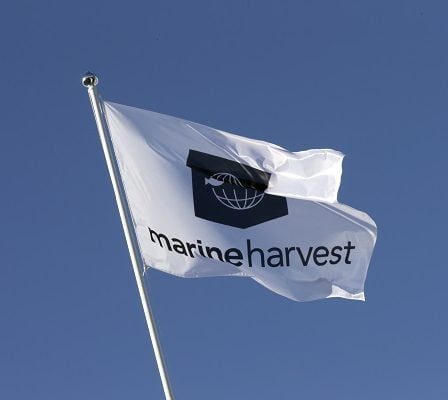 Marine Harvest change de nom pour MOWI 29 Marine Harvest change de nom pour MOWI - 28