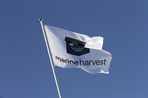 Marine Harvest change de nom pour MOWI - 7