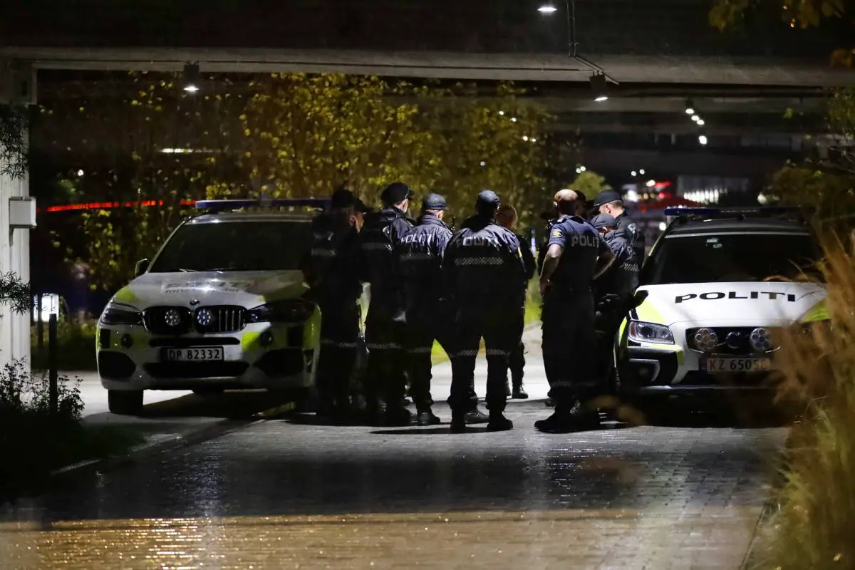 Un garçon poignardé à Sandvika - Norway Today - 3