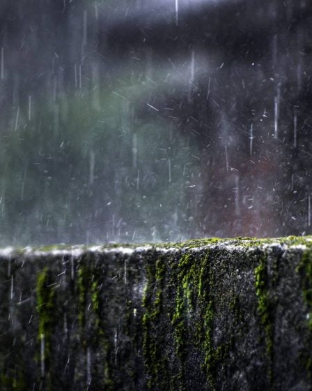 Fortes pluies : avertissement de danger jaune émis pour Trøndelag et Helgeland - 4