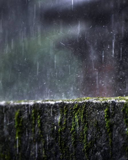 Fortes pluies : avertissement de danger jaune émis pour Trøndelag et Helgeland - 7