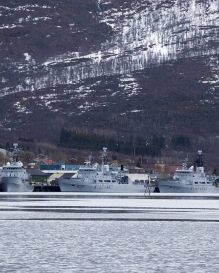 Tjeldsund: 14 employés infectés par la couronne à Grovfjord Mekaniske Verksted 20 Tjeldsund: 14 employés infectés par la couronne à Grovfjord Mekaniske Verksted - 19