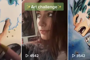 Près d'un demi-million de personnes suivent cet artiste d'anime norvégien sur Tik Tok - 16