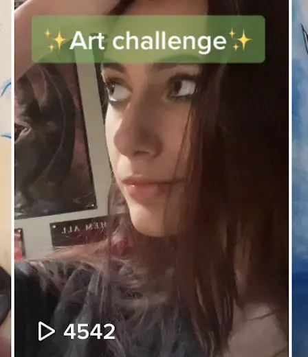 Près d'un demi-million de personnes suivent cet artiste d'anime norvégien sur Tik Tok - 1