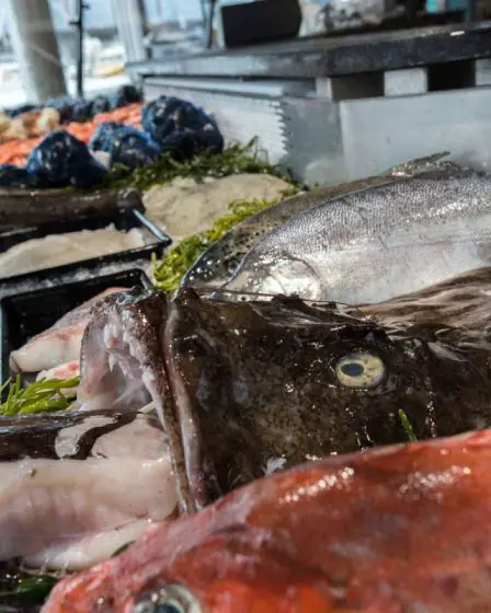 Le gouvernement veut que la Norvège soit mieux connue en tant que nation alimentaire - 13