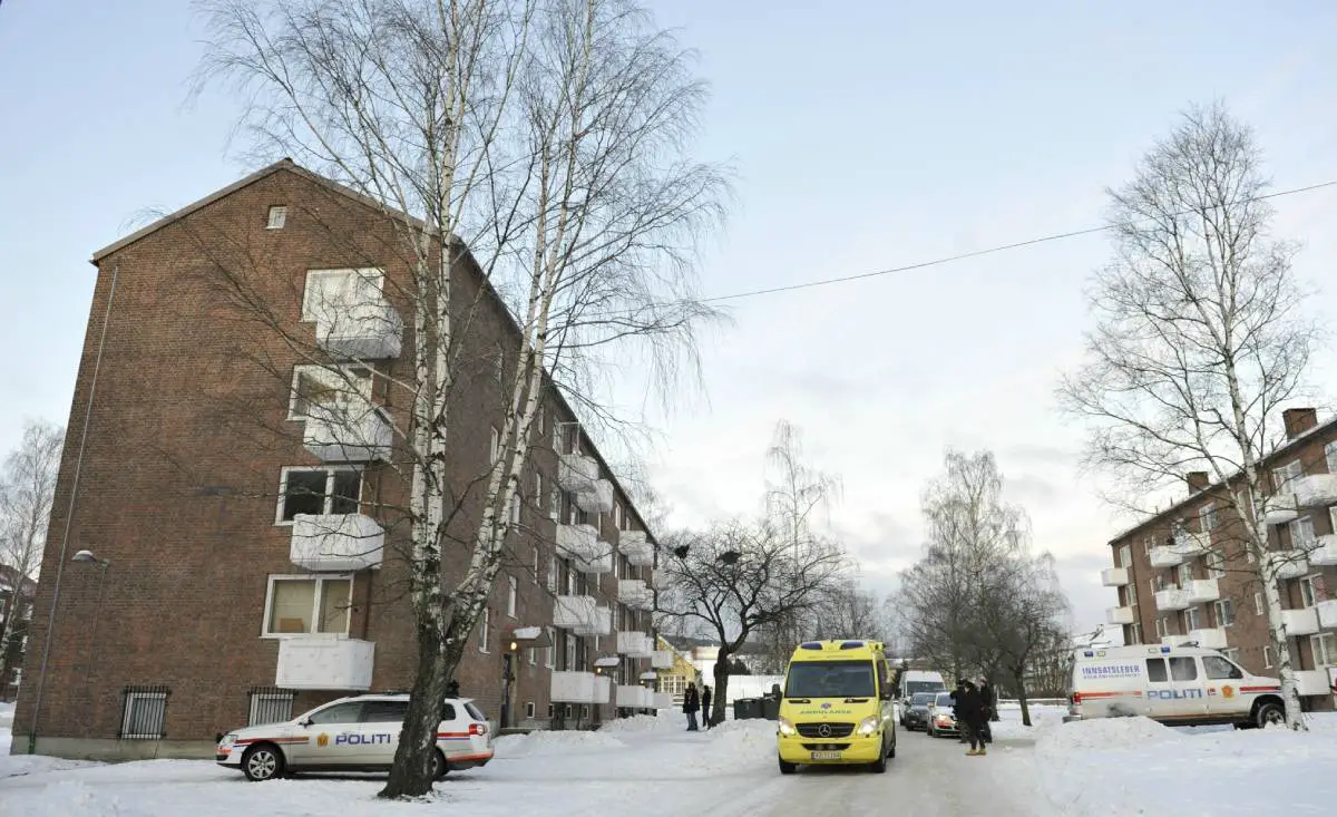 Un conducteur s'endort et percute des voitures garées à Oslo - 3