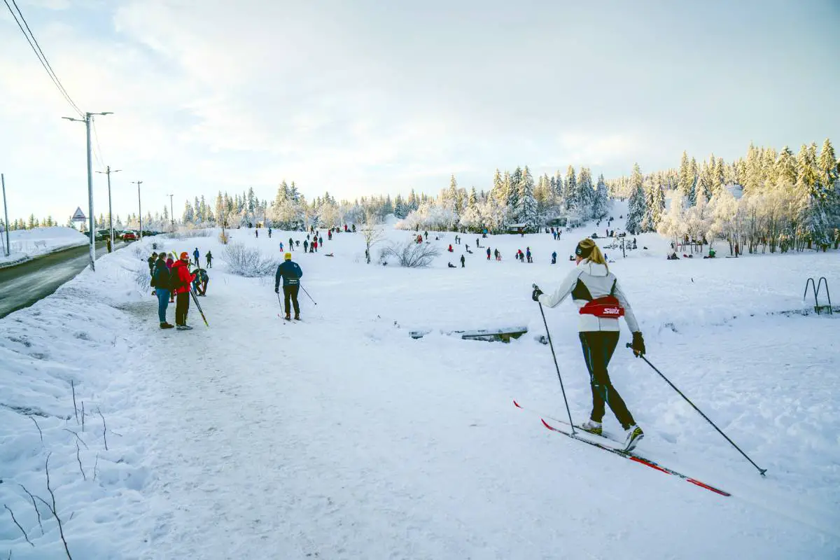 Les chaînes d'équipements sportifs en Norvège ont enregistré de nouveaux records de vente au premier trimestre 2021 4 Les chaînes d'équipements sportifs en Norvège ont enregistré de nouveaux records de vente au premier trimestre 2021 - 3