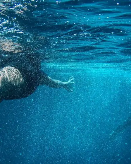 Un garçon de huit ans sauve un jeune garçon de la noyade à Asker 14 Un garçon de huit ans sauve un jeune garçon de la noyade à Asker - 13