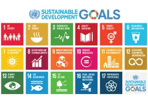 Unissez vos forces pour atteindre les objectifs de durabilité de l'ONU - 18