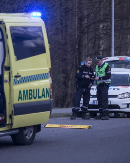 Un chauffeur de Sandefjord s'est dénoncé - Norway Today 29 Un chauffeur de Sandefjord s'est dénoncé - Norway Today - 28