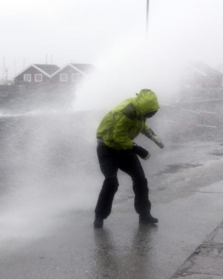 La tempête fait rage dans le Nordland - Norway Today 6 La tempête fait rage dans le Nordland - Norway Today - 5