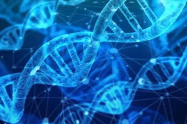 Bio Council veut assouplir la législation sur les gènes - 18