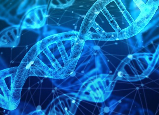 Bio Council veut assouplir la législation sur les gènes 4 Bio Council veut assouplir la législation sur les gènes - 3