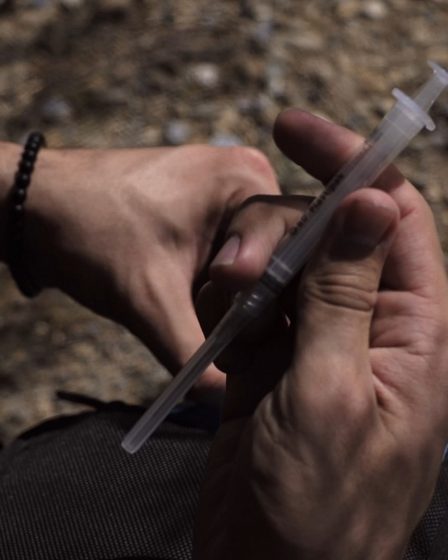 Effort accru contre les décès par surdose - Norway Today 18 Effort accru contre les décès par surdose - Norway Today - 17