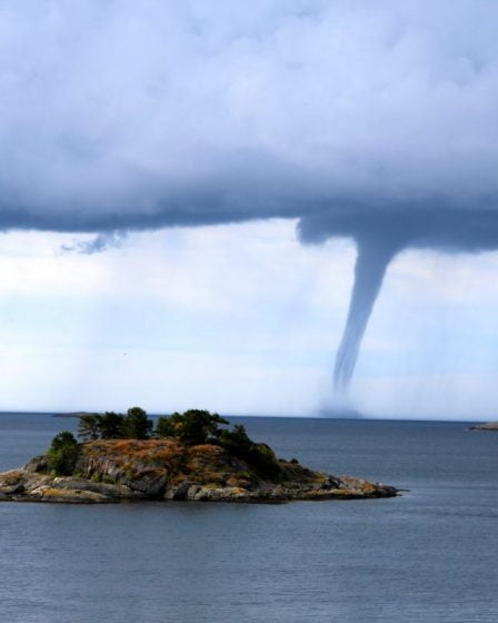 Le premier du genre ? Hache mystérieuse découverte au large d'Arendal 2 Le premier du genre ? Hache mystérieuse découverte au large d'Arendal - 1