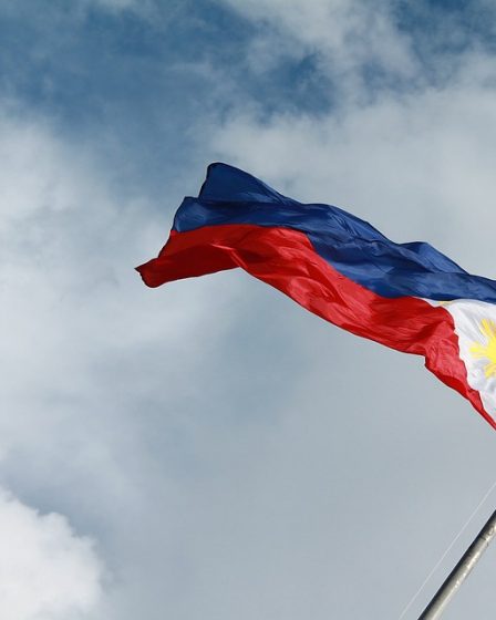 Une femme décédée de la rage a été infectée par un chiot aux Philippines 27 Une femme décédée de la rage a été infectée par un chiot aux Philippines - 26