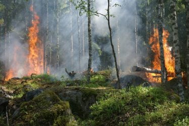 Risque croissant d'incendie de forêt dans le sud de la Norvège - 16