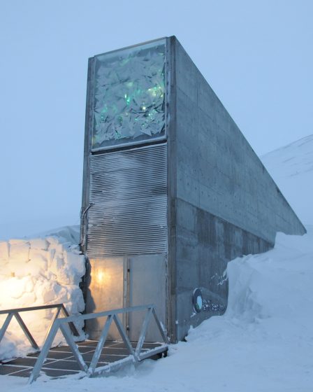 Le changement climatique endommage les bâtiments du Svalbard 14 Le changement climatique endommage les bâtiments du Svalbard - 13