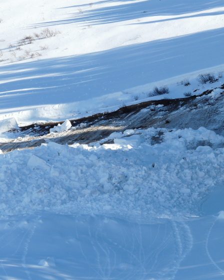 Avril est le pire mois pour les décès par avalanche 9 Avril est le pire mois pour les décès par avalanche - 8