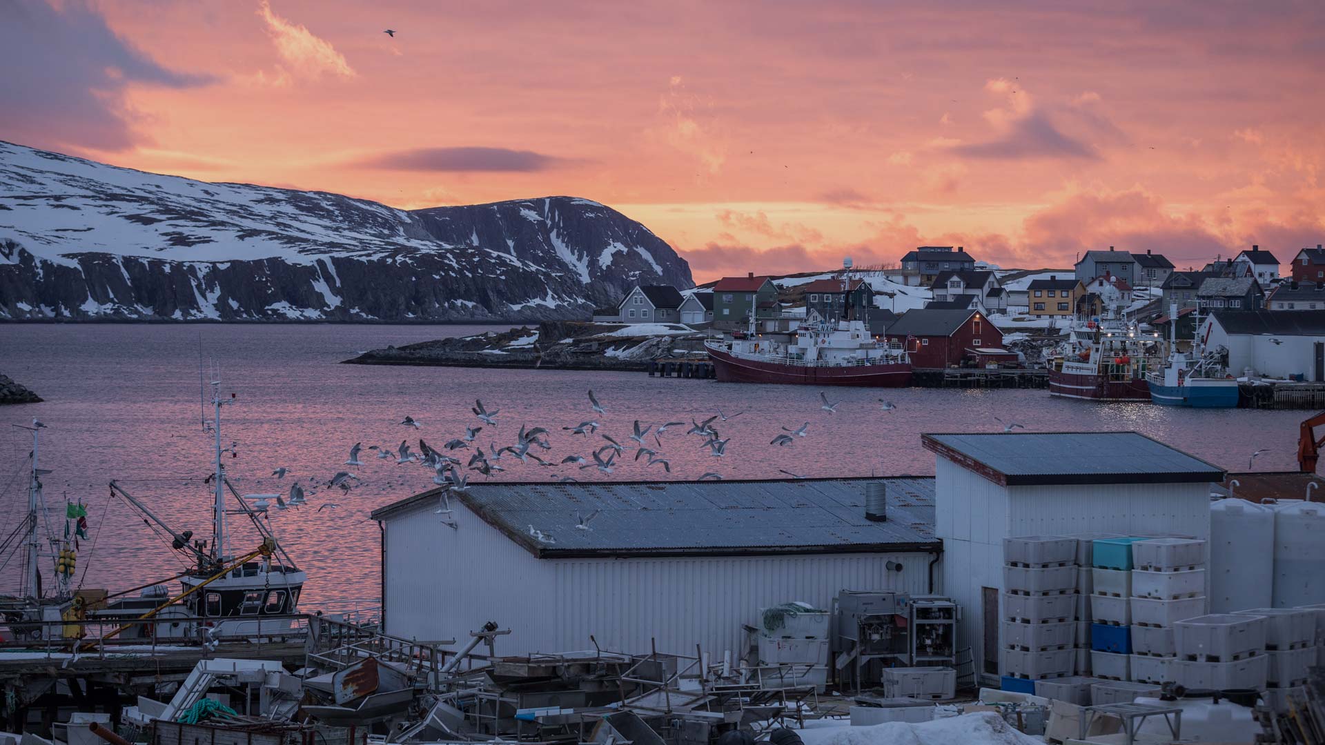 Un homme inculpé de meurtre est appréhendé lors d'une action policière à Mehamn 4 Un homme inculpé de meurtre est appréhendé lors d'une action policière à Mehamn - 3