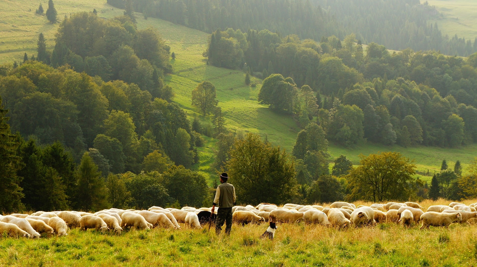 De moins en moins de fermes en Norvège 4 De moins en moins de fermes en Norvège - 3