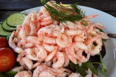 La plus faible quantité de crevettes capturées en 10 ans pourrait entraîner une augmentation des prix - 20
