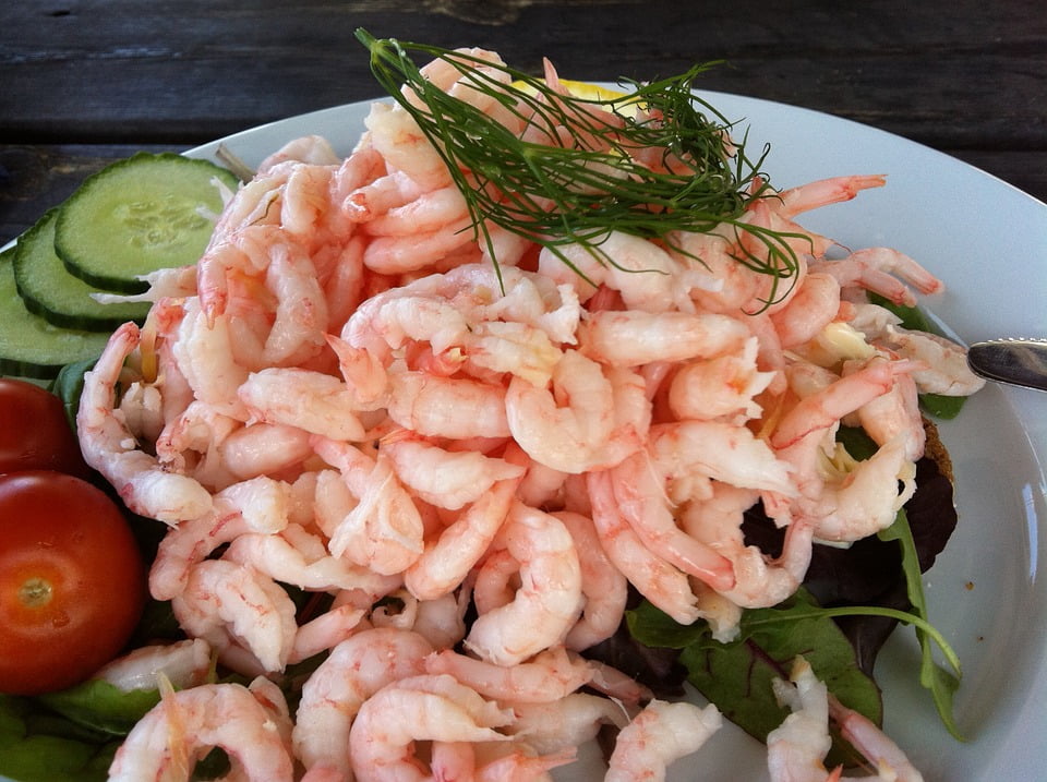 La plus faible quantité de crevettes capturées en 10 ans pourrait entraîner une augmentation des prix 4 La plus faible quantité de crevettes capturées en 10 ans pourrait entraîner une augmentation des prix - 3