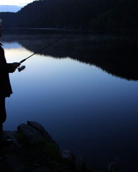 Plusieurs espèces de poissons menacent les eaux de pêche norvégiennes 18 Plusieurs espèces de poissons menacent les eaux de pêche norvégiennes - 17