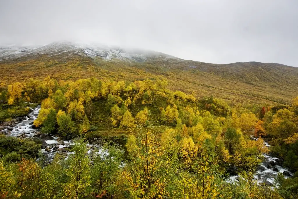 Augmentation des prises de saumon en rivière 4 Augmentation des prises de saumon en rivière - 3