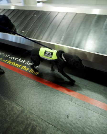 De nombreuses personnes prises en flagrant délit de contrebande de devises 2 De nombreuses personnes prises en flagrant délit de contrebande de devises - 1