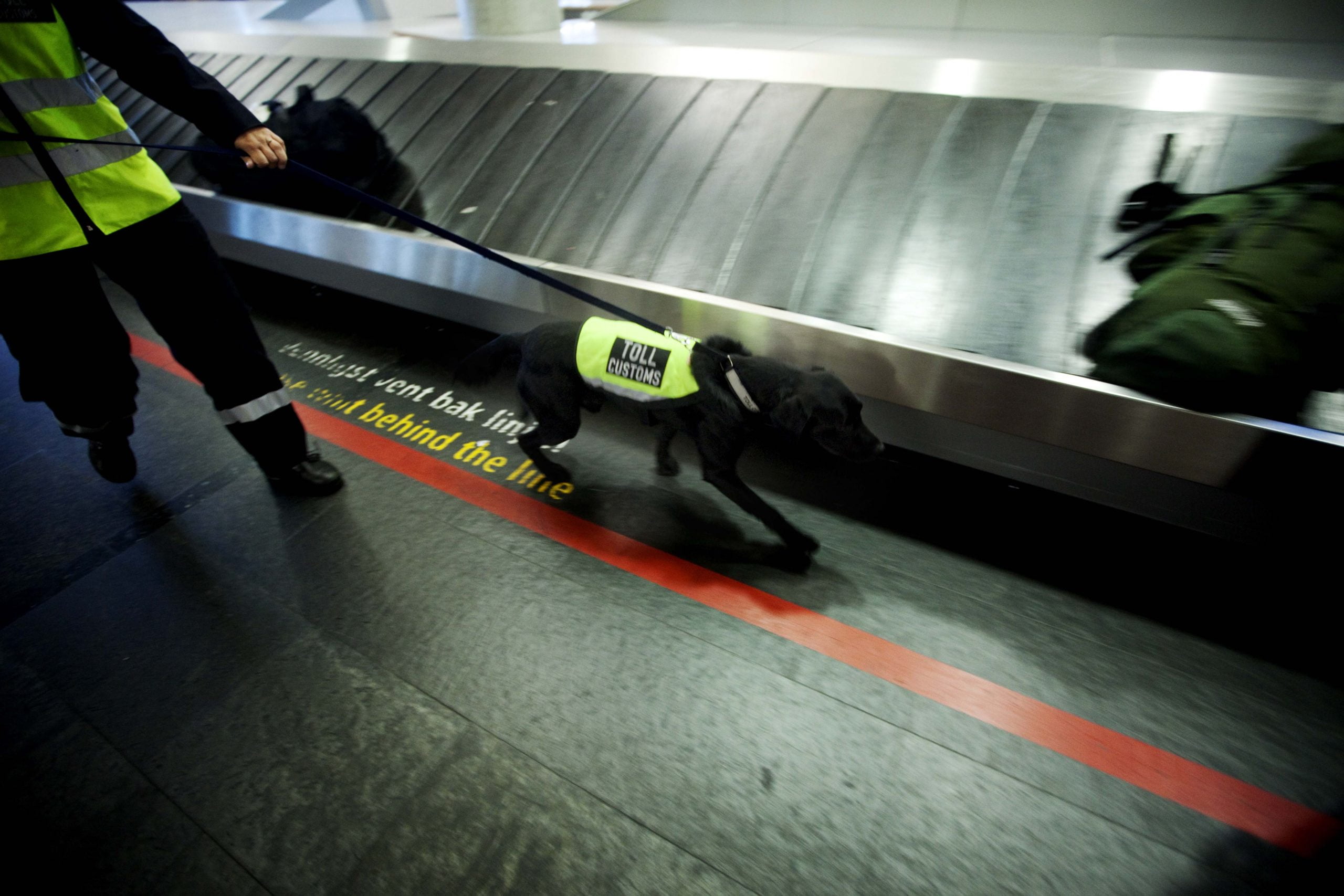 De nombreuses personnes prises en flagrant délit de contrebande de devises 4 De nombreuses personnes prises en flagrant délit de contrebande de devises - 3